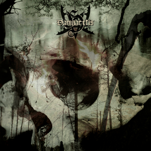 Krocząc ciernistą aleją