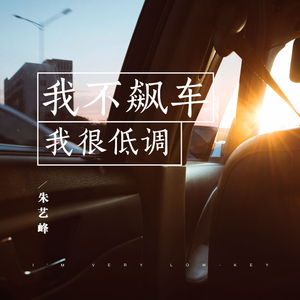 我不飙车，我很低调