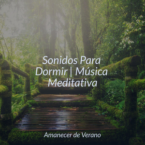 Melodía Meditativa Meliflua