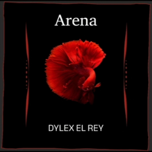 Arena