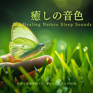 森の小川の音 - ストレスを解消し、ぐっすり眠れるピアノ