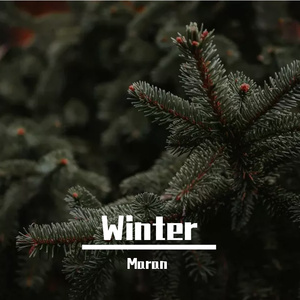 Winter（MAPEISEN）