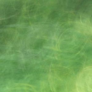 还有风（prod.Siren&EVOMUSIC）