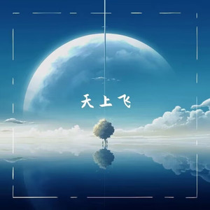 天上飞