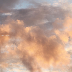 힘들었던 한 해의 끝에서