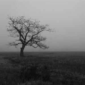 lost my mind (feat. koji) (2024)