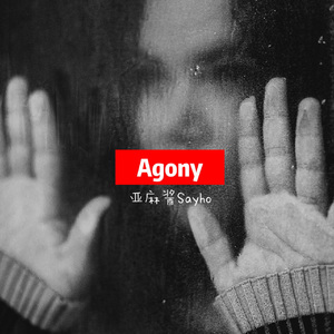 【已售出】Agony-rnb emo rap type beat
