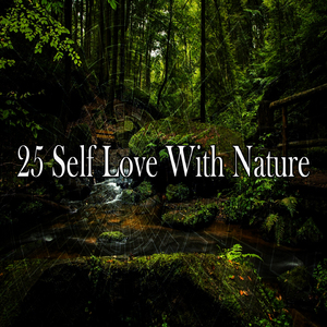 盖亚斯生命给予的呼吸