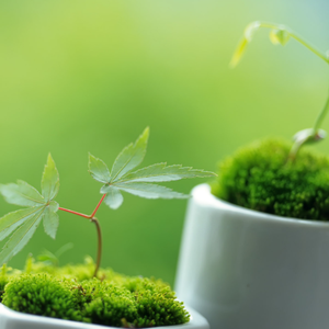 不在乎Prod EVOMUSIC