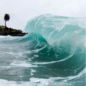 SheBelongedToTheOcean