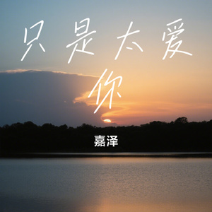只是太爱你