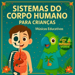 Sistema Musculoesquelético — Ossos e Músculos em Ação