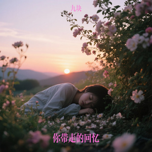 你带走的回忆（九块 Remix）