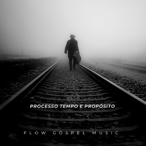 Processo Tempo e Propósito