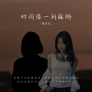 时间像一剂麻醉(DJ版)