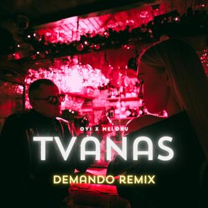 TVANAS (feat. meloru) (Demando Remix)