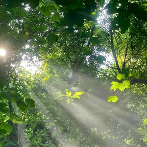 醉清风(2008年新版)