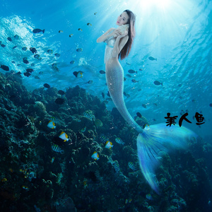 美人鱼