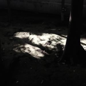 Chill summer piano beat