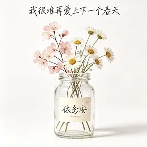 我很难再爱上下一个春天