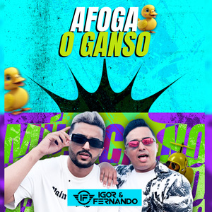 Afoga o Ganso