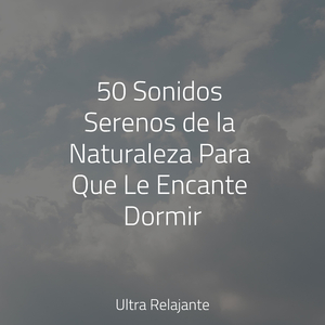 Una Probada A La Tranquilidad