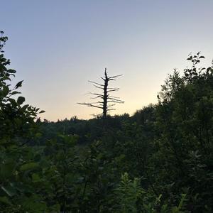 What’s It All About