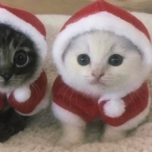 u're mine（X1.2&X1.1）