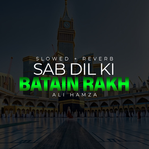 Sab Dil Ki Batain Rakh Lofi