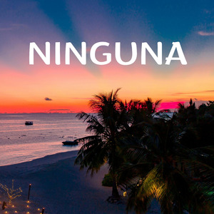 Ninguna