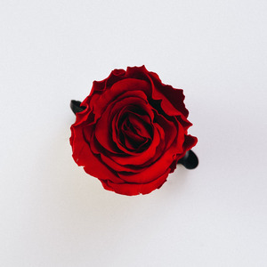 Carta Para Despedida