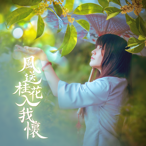 风送桂花入我怀（长曲版）