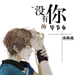 没有你的毕节市