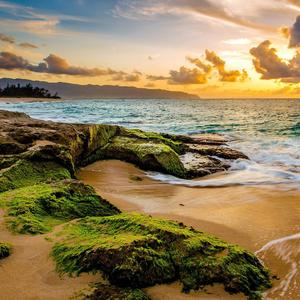 把那些愉快的记忆也一起留在过去