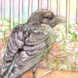 ハッピーポップ