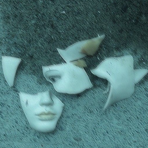 雨水淋湿一切包括我的假想