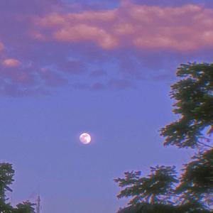星期八的tita，晚安