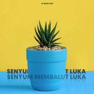 SENYUM MEMBALUT LUKA