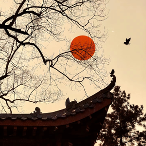 七页回忆总是无解