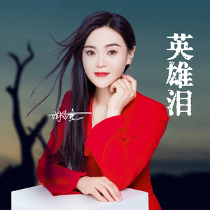 英雄泪 (DJ版)