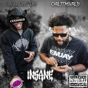 Insane (feat. Hallucinations)
