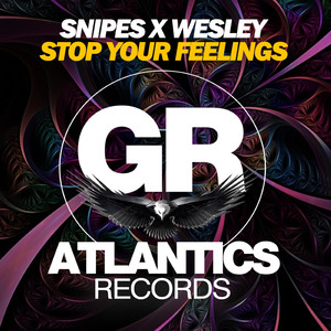 Stop Your Feelings (Original Mix)