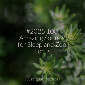 Garden's Secret Spell