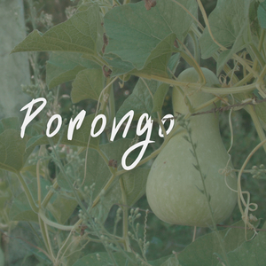 Porongo