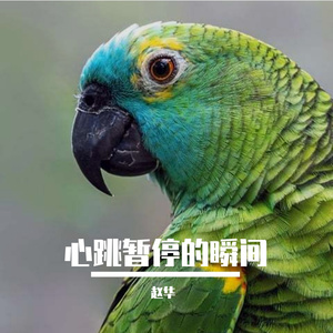 心跳暂停的瞬间