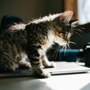 吉隆坡的天气它是翻云又覆雨