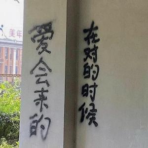 我找遍整个宇宙再也没找到你