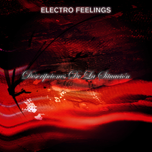 Descripciones De La Situación