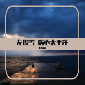 左傲雪-左傲雪 - 伤心太平洋 (Dj.A.T.Y 阿童&抚顺DJ阿泽 Extanded Mix)