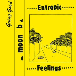 Entropic Feelings 2